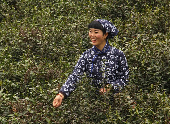 鲸梦热门6
